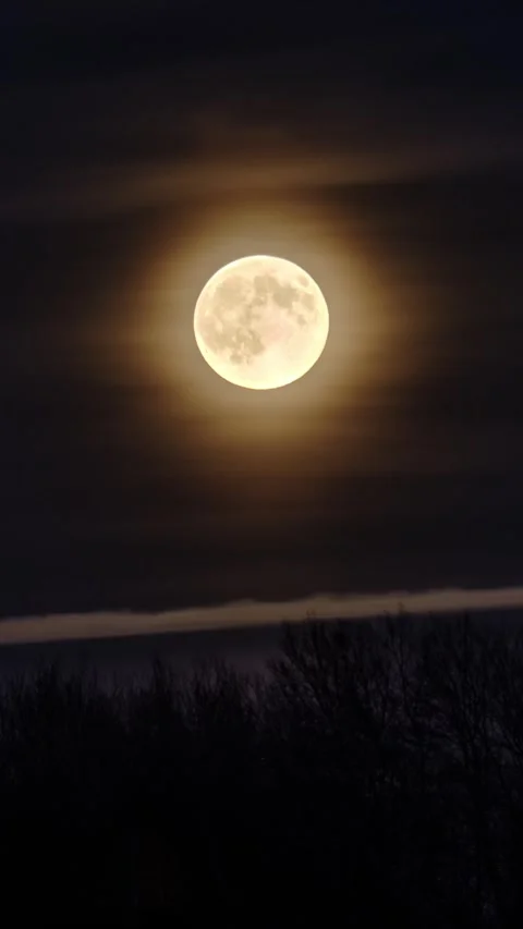 Vertical video of Full moon rising over forest Astronomy time lapse Stock-Footage 320785509