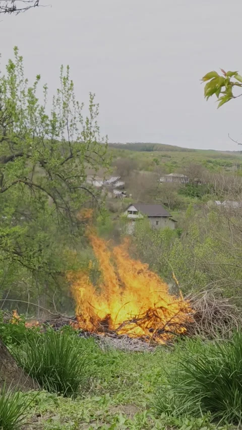 Vertical video of a garden fire in Comarna, Romania Stock Footage 334136253