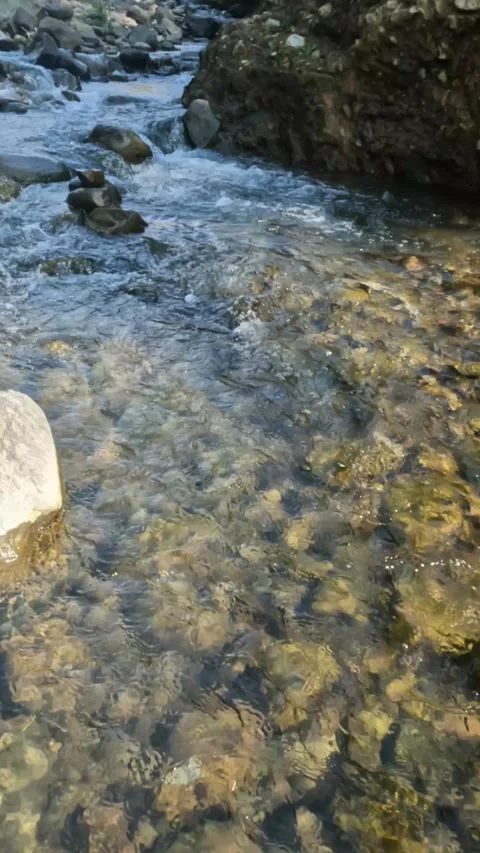 Vertical video of a gently flowing, clear, rocky mountain river Stock Footage 321846499
