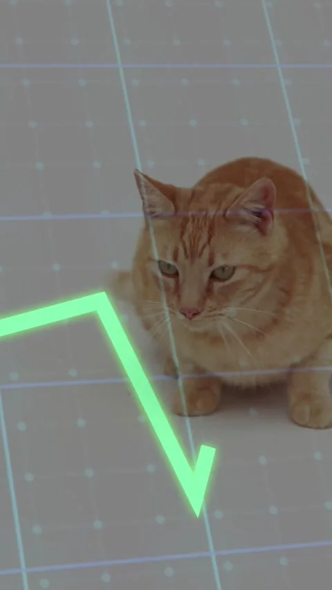 Vertical video: Ginger cat sitting center, charts sweeping grid, cat tracking Stock Footage 334600940