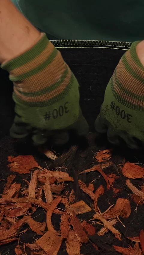 Vertical video. Gloved Hands Mix Bark Mulch and Soil in a Fabric Planter, Demons Stock Footage 341953858
