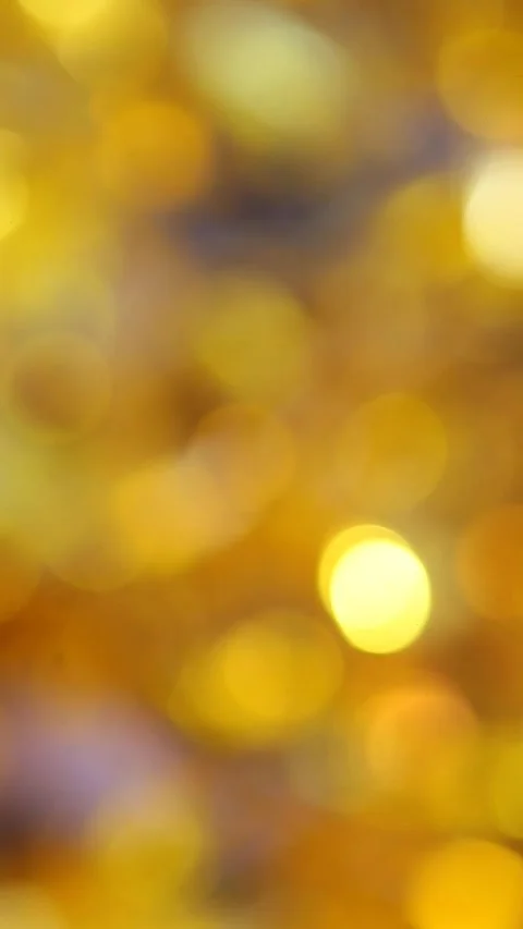 Vertical video of gold bokeh Stock Footage 244789876
