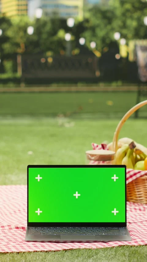 Vertical Video Green screen laptop placed on picnic blanket in empty city park Stock Footage 341473366