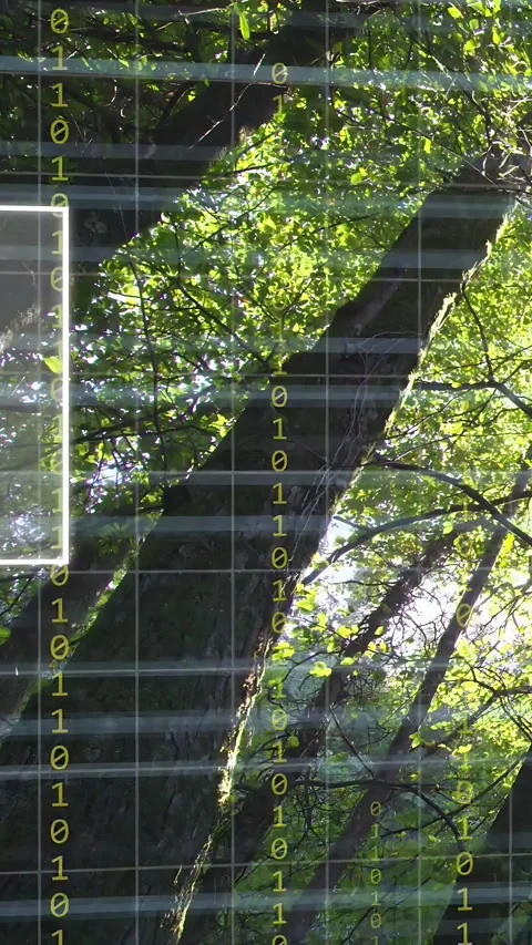 Vertical video: Grid brightening, UI panes sliding over trunk, binary scrolling Stock Footage 333603758
