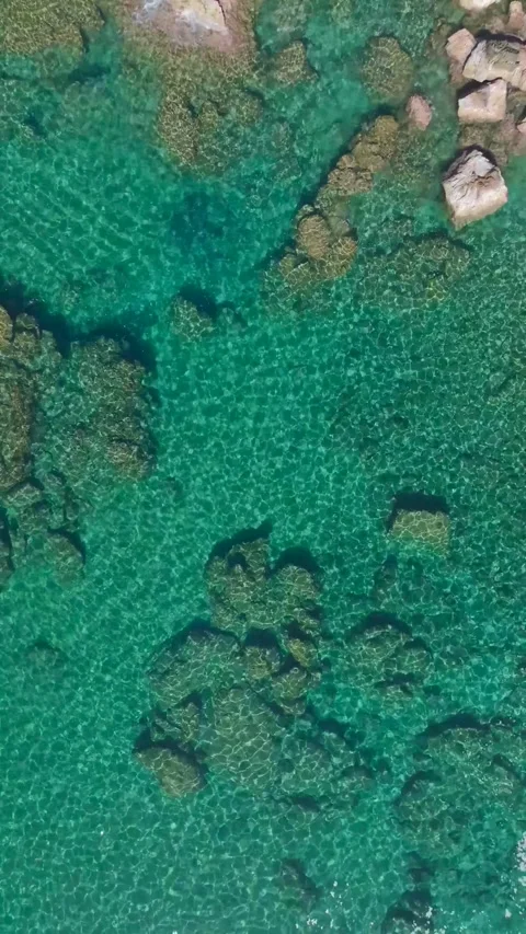 Vertical Video: Group Paddleboarding Trip on the Mediterranean Sea with People Stock Footage 297744134