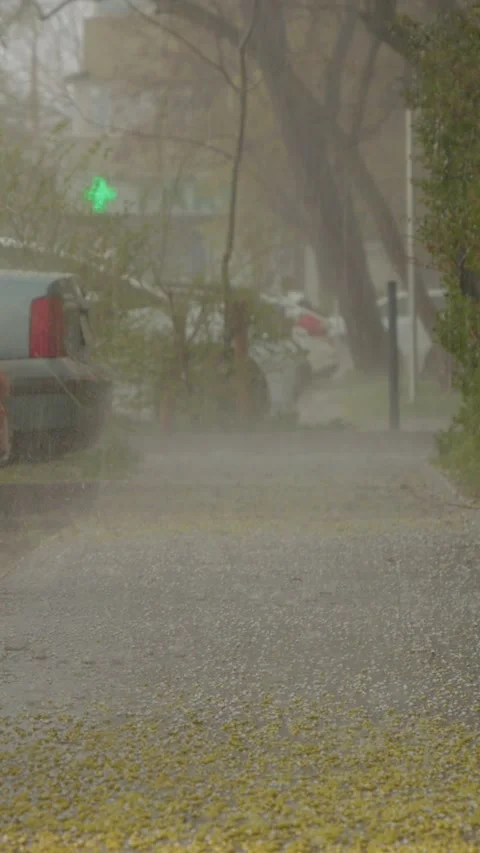 Vertical video Hail falls during heavy rain while sunlight brightens the city Stock Footage 306228135