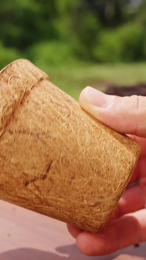 Vertical video. Hand Holds an Empty Coconut Fiber Pot Outdoors, Biodegradable Pl Stock Footage 340229852