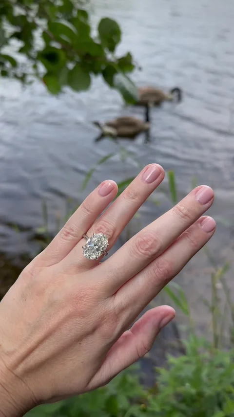 Vertical video hand with oval diamond engagement ring among reeds Stock Footage 317789850