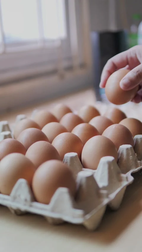 Vertical video Hand of person placing a fresh chicken egg into an egg tray Stock Footage 342888506