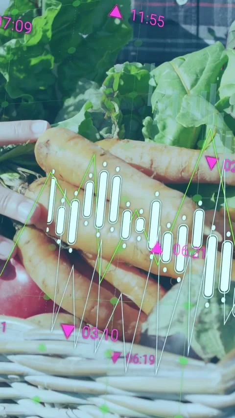 Vertical video: Hands entering and arranging carrots in basket for market data Stock Footage 334771090