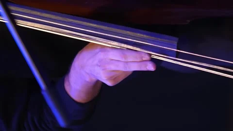 Vertical video. The hands pick the strings of the double bass with their fingers Video stock 261214430