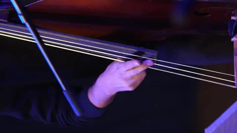 Vertical video. The hands pick the strings of the double bass with their fingers Video stock 265080320