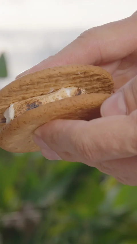 Vertical video. Hands Placing Roasted Marshmallow Between Two Biscuits with Stock Footage 317760210