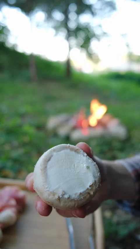 Vertical video of hands preparing mushrooms with cream cheese near bonfire Stock Footage 287414493