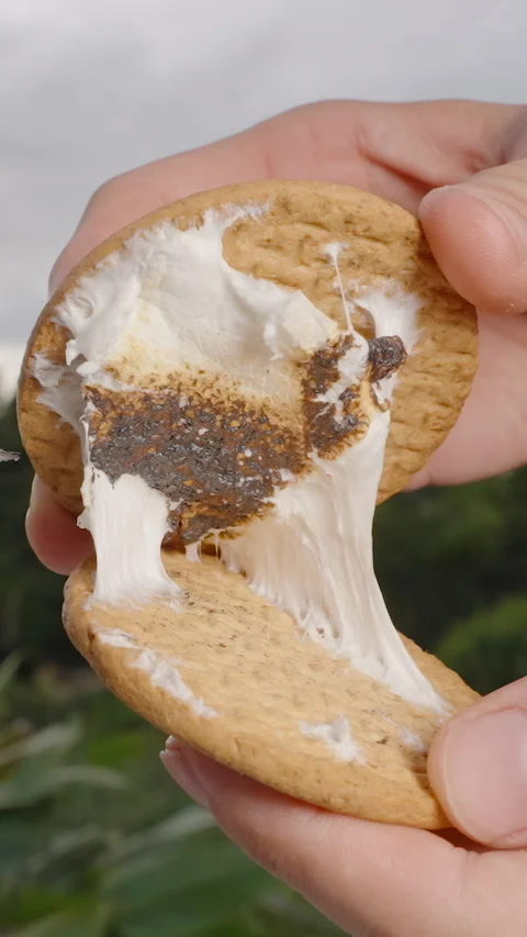 Vertical video. Hands Stretching Gooey Marshmallow Between Two Biscuits in Stock Footage 317760552
