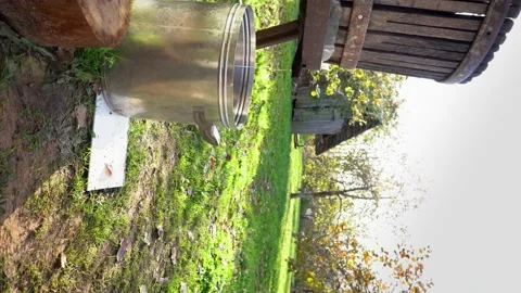 Vertical video harvesting fruit juice at home using the old method. Beautiful Stock Footage 167660418