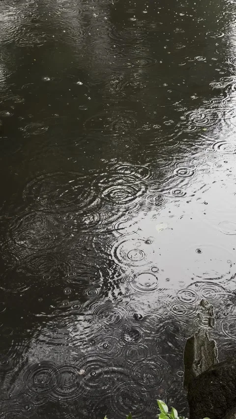 Vertical video of heavy rain falling on water surface with ripples Stock Footage 346700748