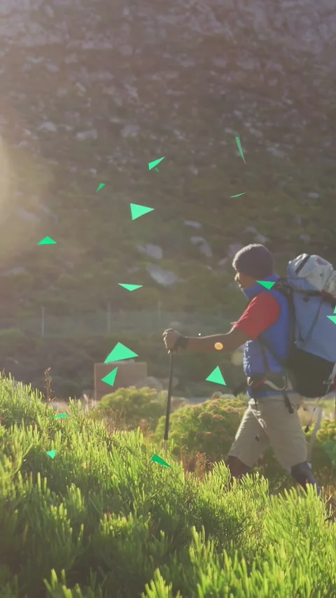 Vertical video: Hiker checking map, climbing with pole, green triangles Stock Footage 334128179