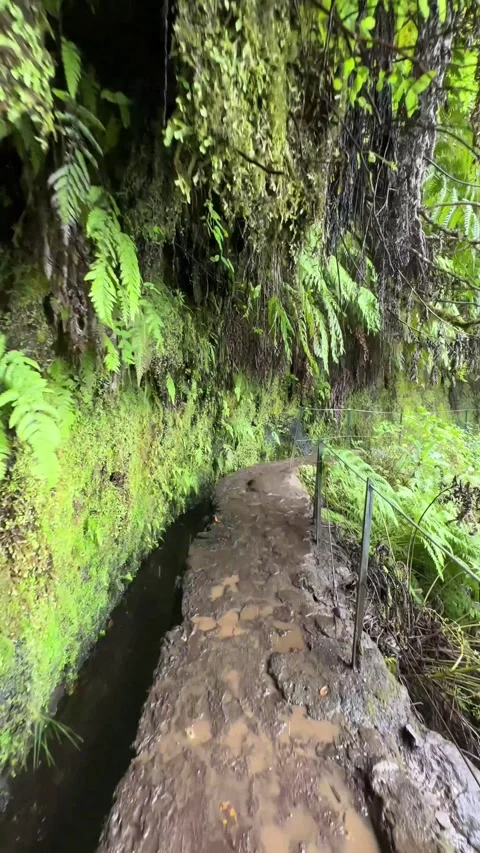 Vertical video of a hiker exploring the stunning Levada do Caldeirao Verde trail Stock Footage 285781557