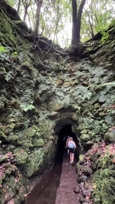 Vertical video of a hiker exploring the stunning Levada do Caldeirao Verde trail Stock-Footage 285782043