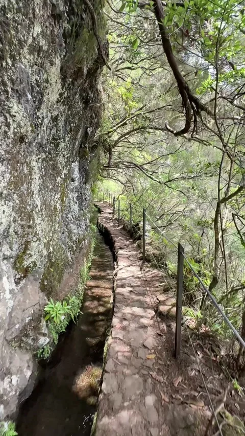Vertical video of a hiker exploring the stunning Levada do Caldeirao Verde trail Stock Footage 285782133