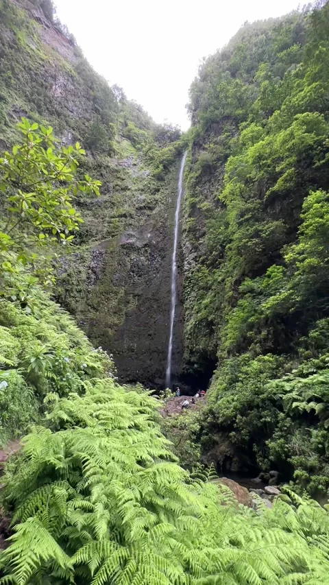 Vertical video of a hiker exploring the stunning Levada do Caldeirao Verde trail Stock Footage 285782166