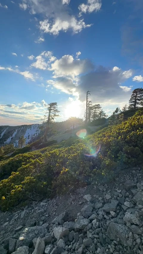 Vertical Video of Hiker Resting with Boots and Backpack on Mount Baldy Trail Stock Footage 323225848