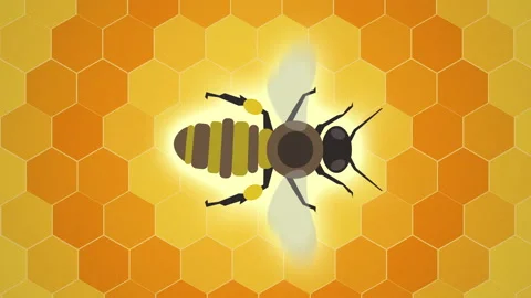 Vertical Video, Honey Bee Hovering over Pulsing Pattern of Hexagonal Stock Footage 149055597