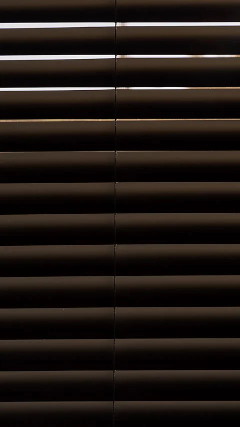Vertical video. Horizontal Window Blinds Slowly Opening to Reveal the Outdoor Vi Stock Footage 339204179