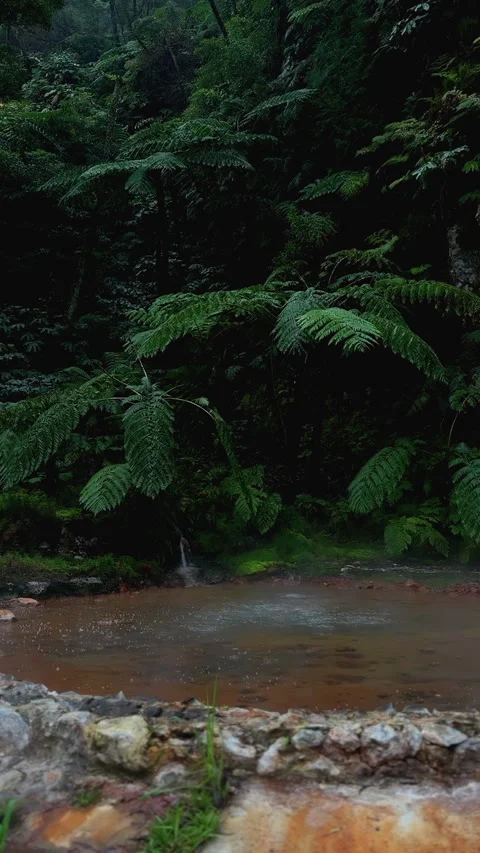 Vertical Video Hot Spring in Nature, Azores São Miguel Video stock 316410274