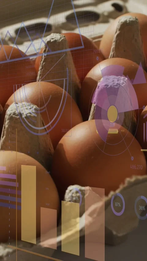 Vertical video: HUD appearing, animating charts across brown eggs, camera Stock Footage 333978116