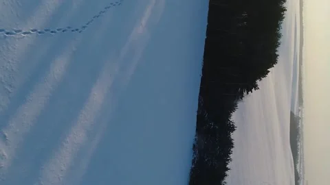 Vertical video. Human footprints intersect with ski footprints in snow fields. Video stock 220132581