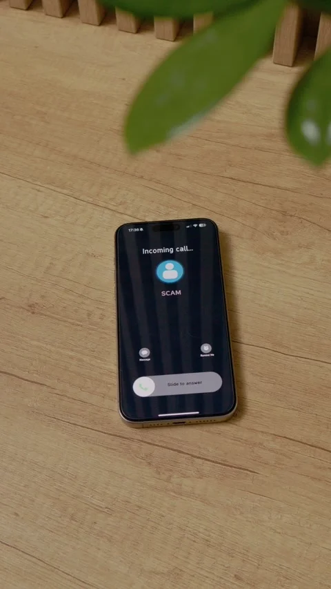 Vertical video Incoming call showing scam alert on smartphone Stock Footage 346715811