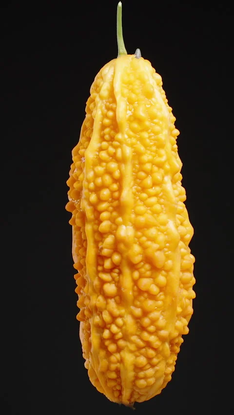 Vertical video. Isolate Close-up of a Bright Orange Bitter Melon with Bumpy Skin Stock Footage 284319498