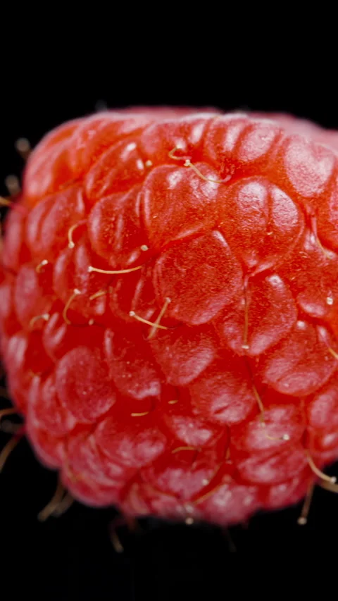 Vertical video. The isolated red raspberry rotates on a black background, looped Stock Footage 270424718