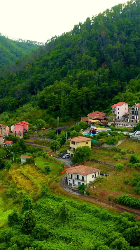 Vertical video. Italy. Forest covered mountains and villas. The territory of Stock Footage 335856914