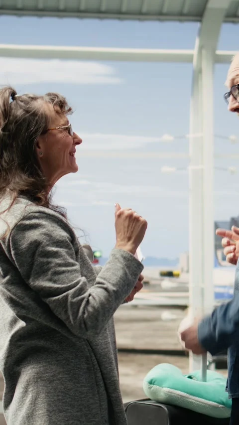 Vertical Video Joyful elderly couple pointing at airport on runway in priority Stock Footage 344373228