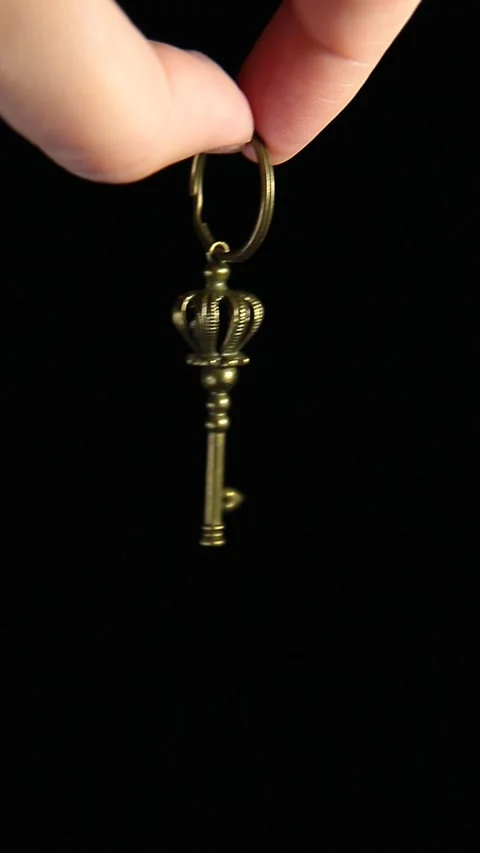 Vertical video of key hand dark background Stock Footage 245272341