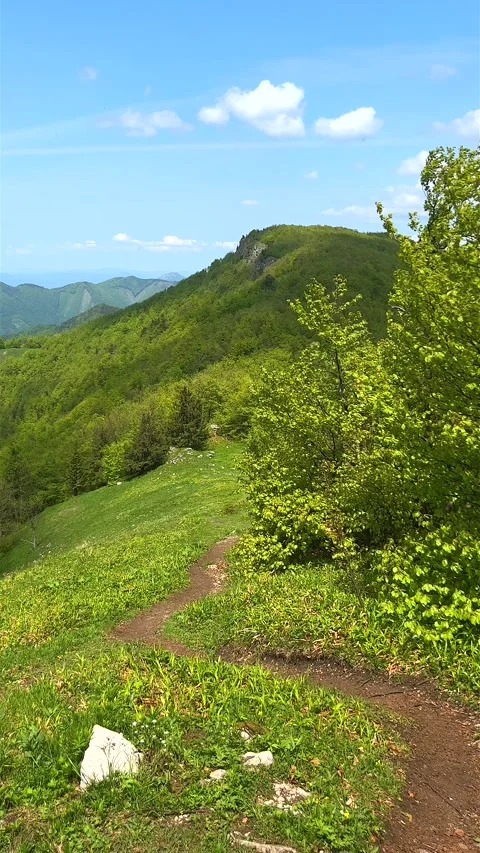 Vertical video: Klak hill with mountain meadow, Mala Fatra mountains in Slovakia Stock Footage 249049486