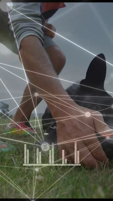 Vertical video: Kneeling man reaching dog muzzle patting to comfort while nodes 動画素材 333289275