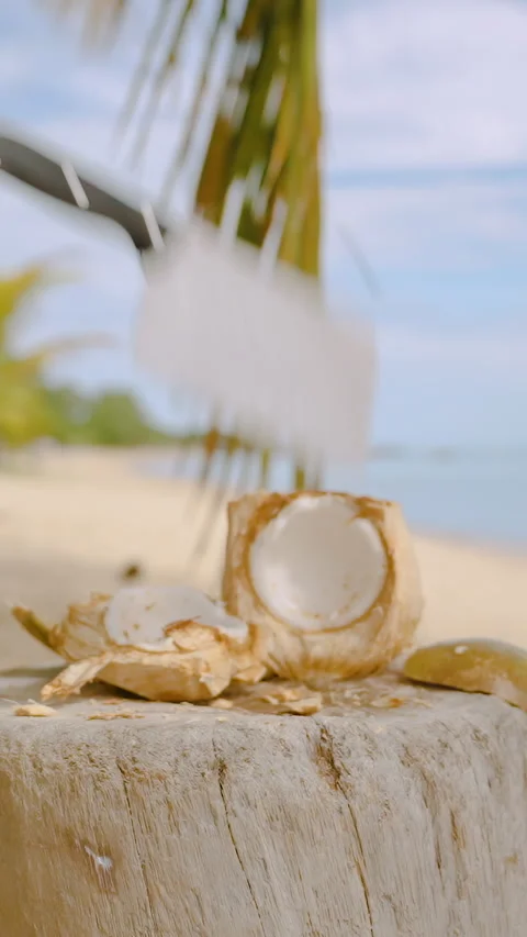 Vertical video. Knife Falling in Slow Motion and Sticking into Wooden Surface Stock Footage 317732628