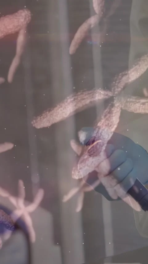 Vertical video: Lab tech pressing pipette to transfer sample for genomics Stock Footage 330964767