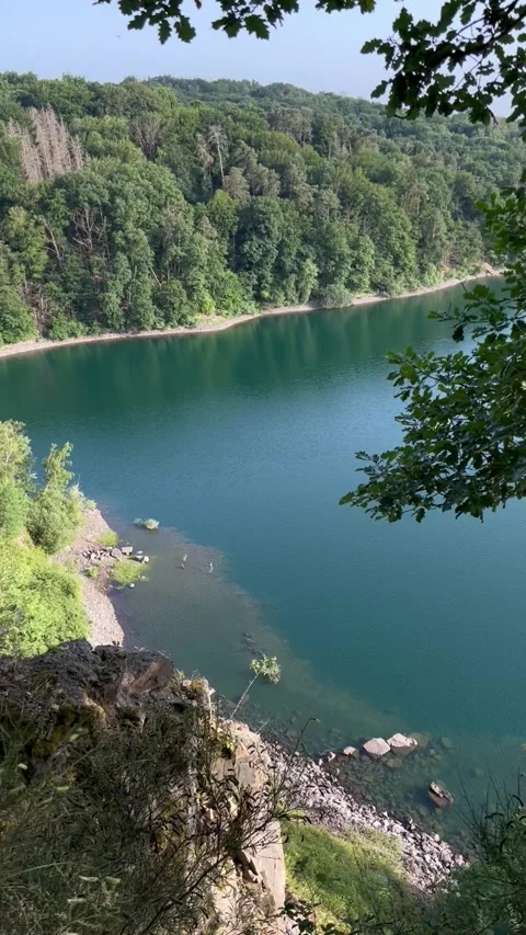 Vertical video Lake Summer Forest Sun Nature Stock Footage 264490484