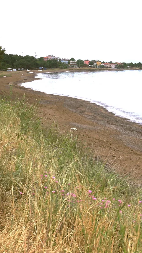 Vertical video, lakeside and beach Stockbeeldmateriaal 295195432