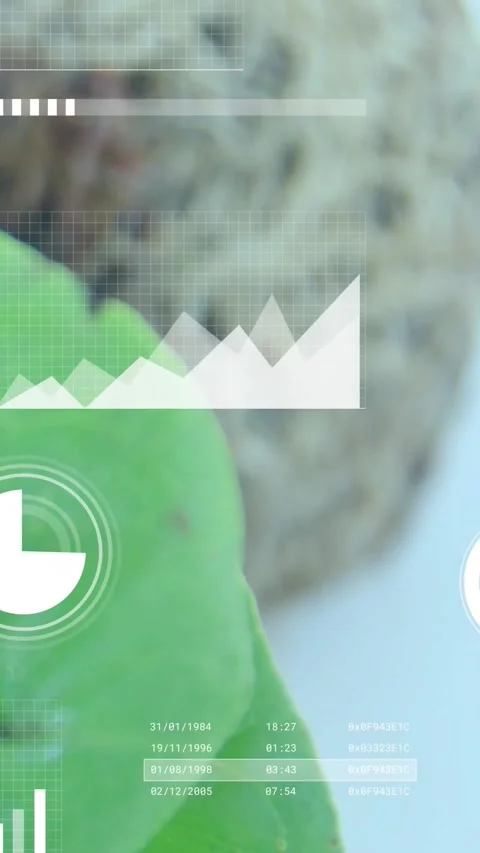 Vertical video: Leaf entering frame while camera shifting right HUD showing Stock Footage 334599117