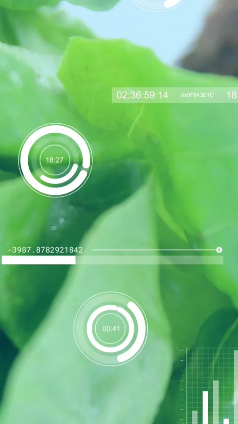 Vertical video: Leaf moving into frame, initiating HUD rings, charts on droplets Vidéo 334599114