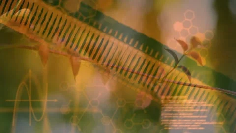 Vertical video: Leaf sliding diagonally with sprout, hex overlay fading in, Stock Footage 330713338