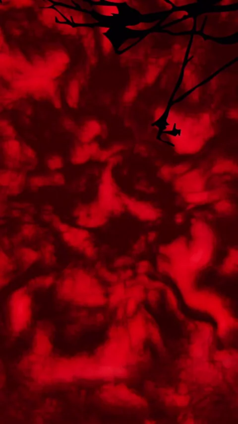 Vertical video: LED starting as red field shifting and black branch with tiny Stock Footage 348491791