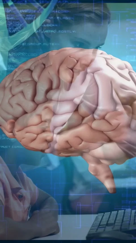 Vertical video: Lesson starting 3D brain rotating showing child typing with code Stock Footage 328332020
