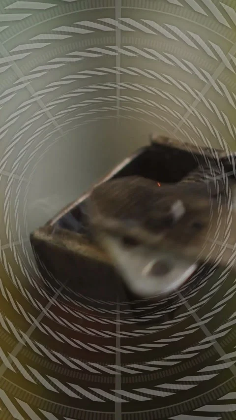 Vertical video: Lighter sparking as striker hits flint, surging then fading, 스톡 동영상 331128822